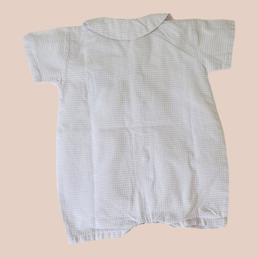 Grain de blé - 6 mois