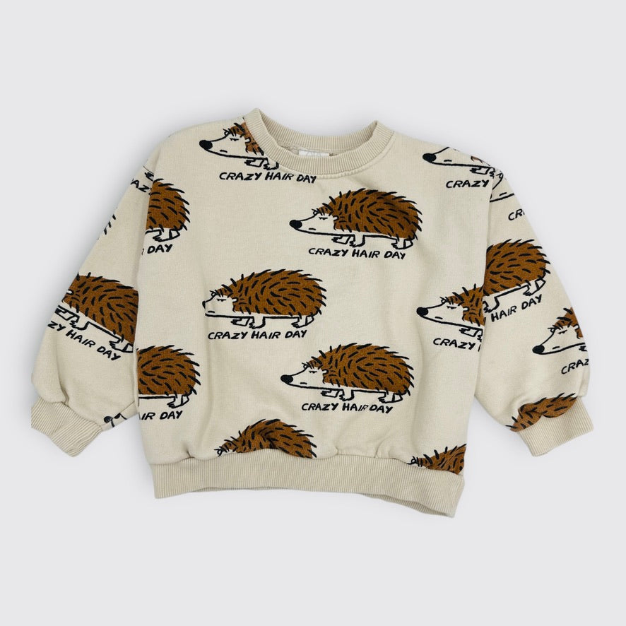 Zara - Pull - 4 - 5 ans