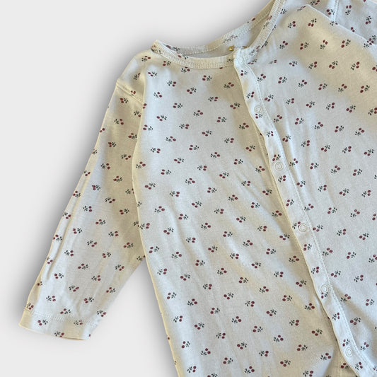 Poudre Organic - 12 mois