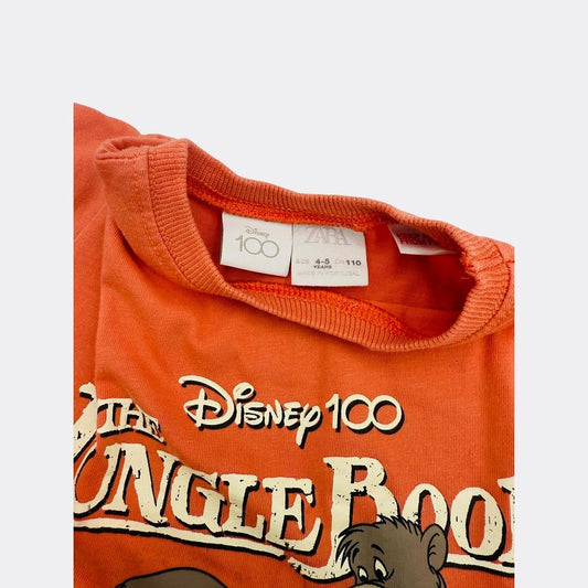 Zara - T-shirt 5 ans 110 cm