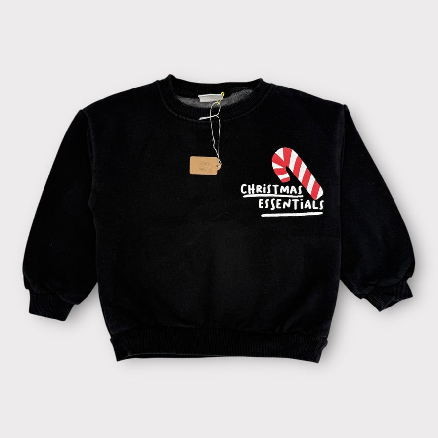 Zara - Pull - 3 - 4ans (104cm)