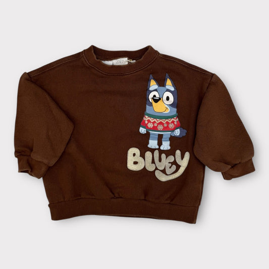 Zara -Pull - 3-4 ans (104cm)