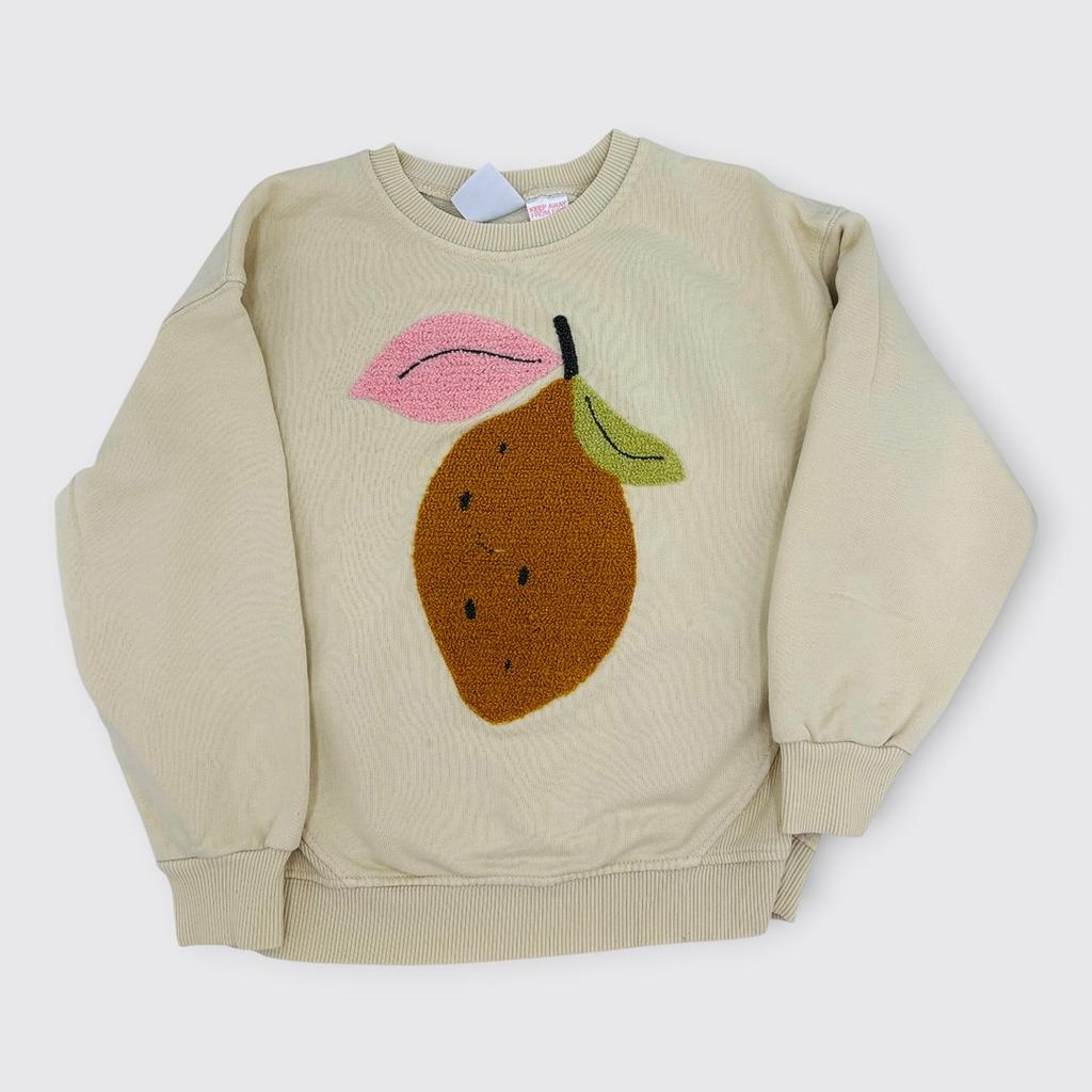 Zara - Sweat 5 ans 110 cm