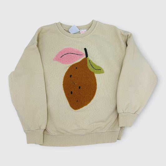 Zara - Sweat 5 ans 110 cm