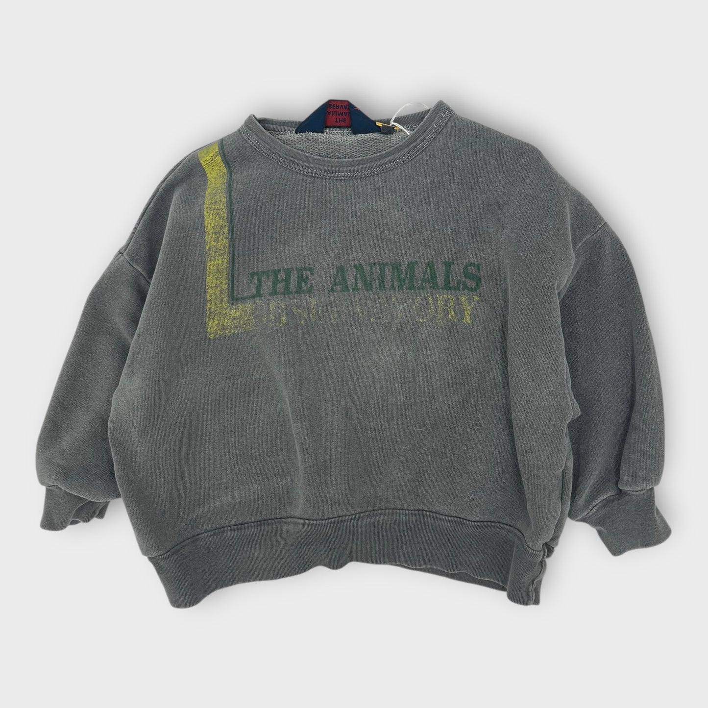 The Animals Observatory - Pull - 2 ans -  (Bon état)