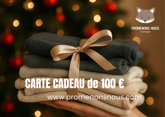 Carte-Cadeau - 100€