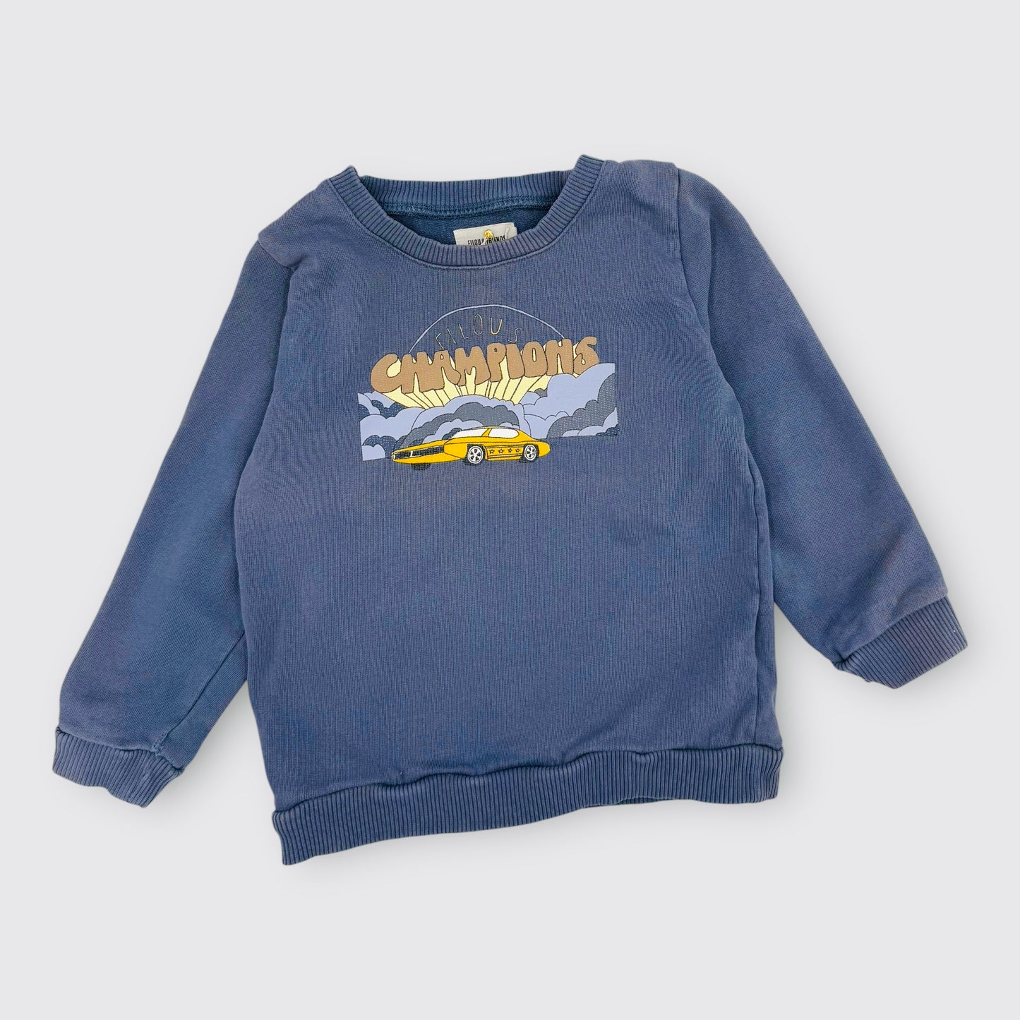 Filou & Friends - Pull - 3 ans