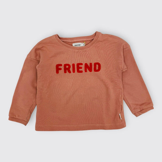 Filou & Friends - Pull - 4ans