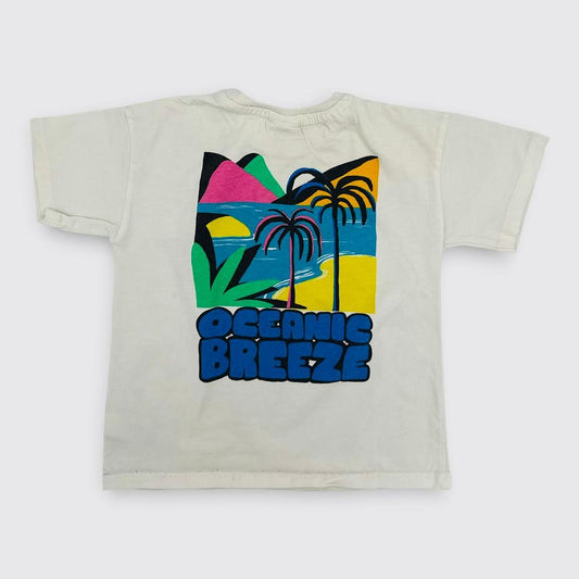 Zara - T-shirt 4 ans 104 cm